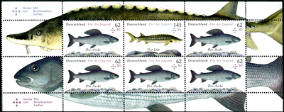 Hetchenblatt Süßwasserfische", ungefaltet